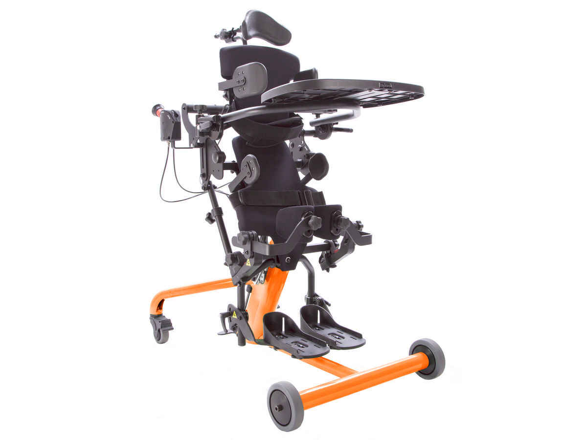 Standing trainer Bantam
